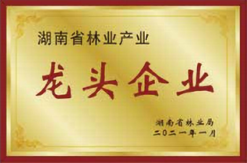 湖南省林業産業龍頭企業